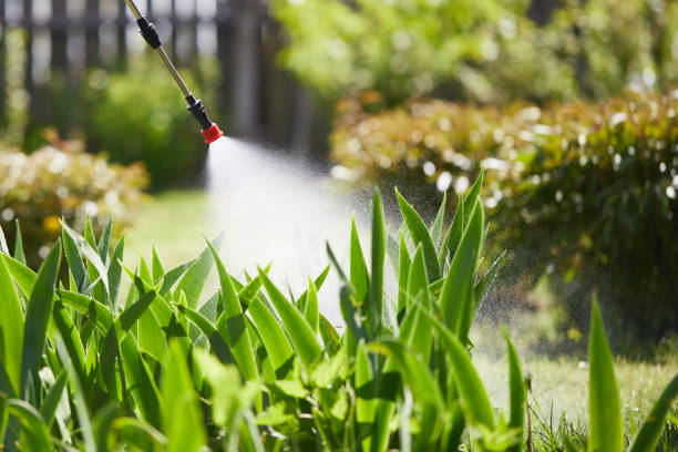 Tamper-Resistant Bait Stations for Rodents in Orangeburg