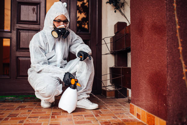 Attic and Crawl Space Rodent Treatment in Orangeburg